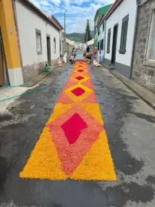 529867534 122131563338903782 536749958047758728 n