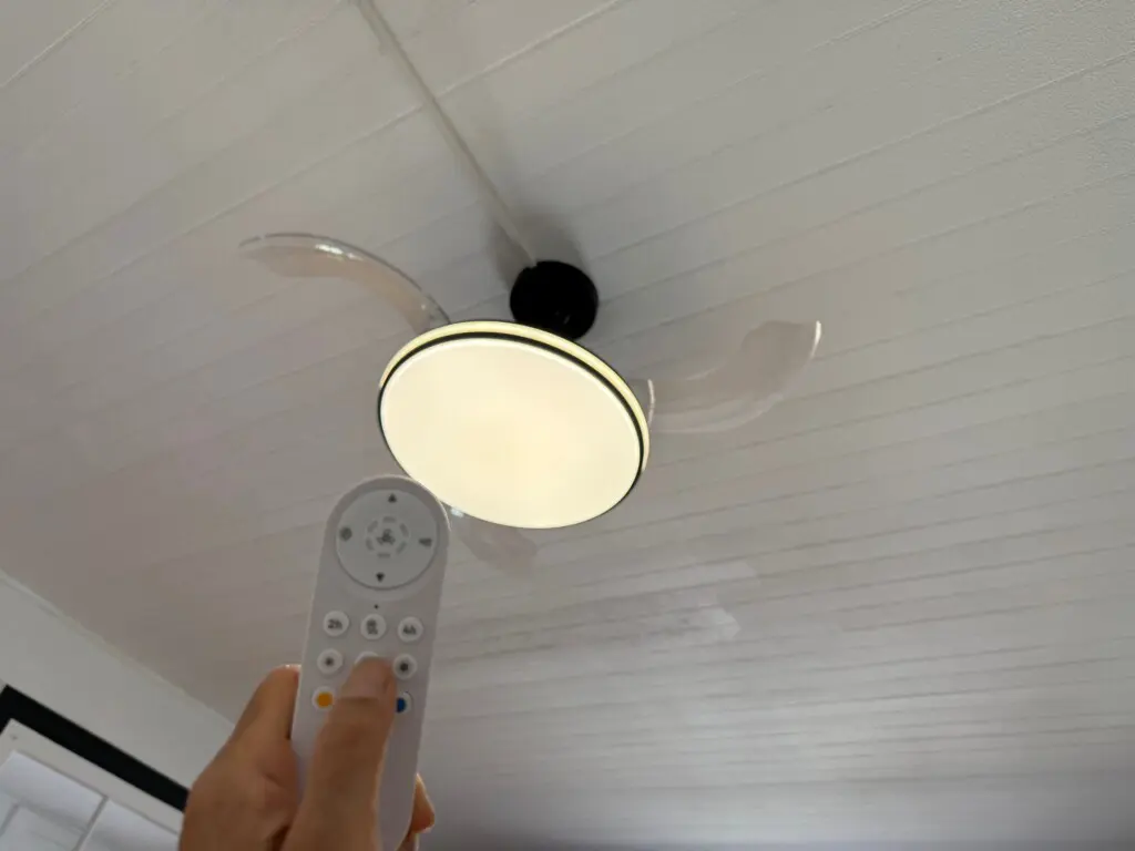 9c7db74d5114404e87ab129356230e5c LargeOriginal.jpg