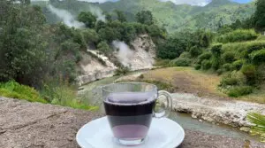 purple tea experience