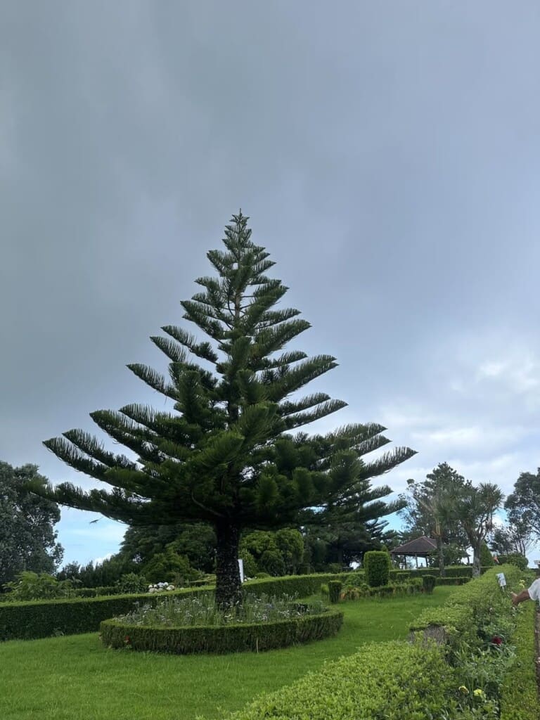 534835954 122133342344903782 7215429444614041722 n
