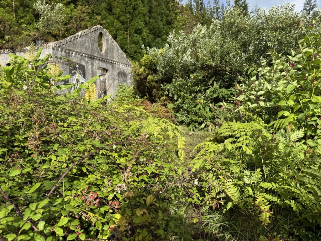 IMG 4889